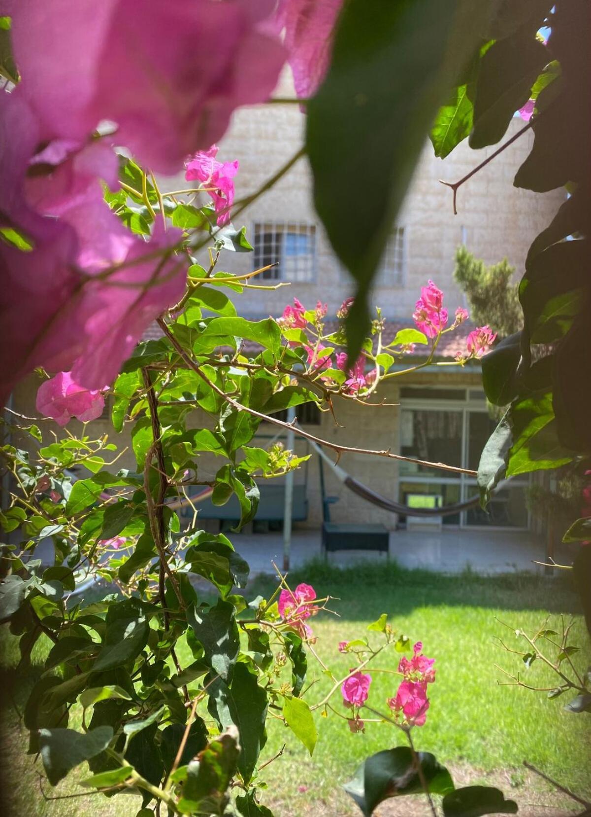 Apartament דירת גן מרווחת במיקום מעולה עם נטפליקס חינמי Ma'ale Adumim Zewnętrze zdjęcie